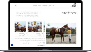 طراحی سایت پرورش اسب - راحت بین